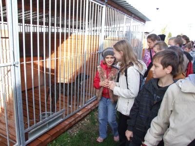 schronisko _lublin_07.jpg